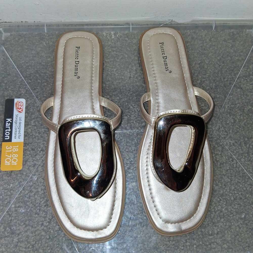 Pierre Dumas Women's Silver Sandals